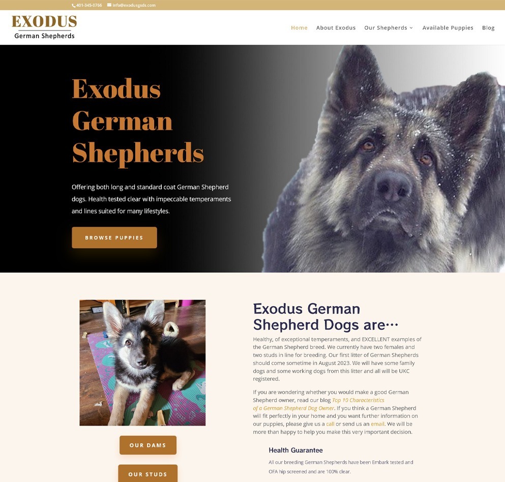 Exodus GSDS web design